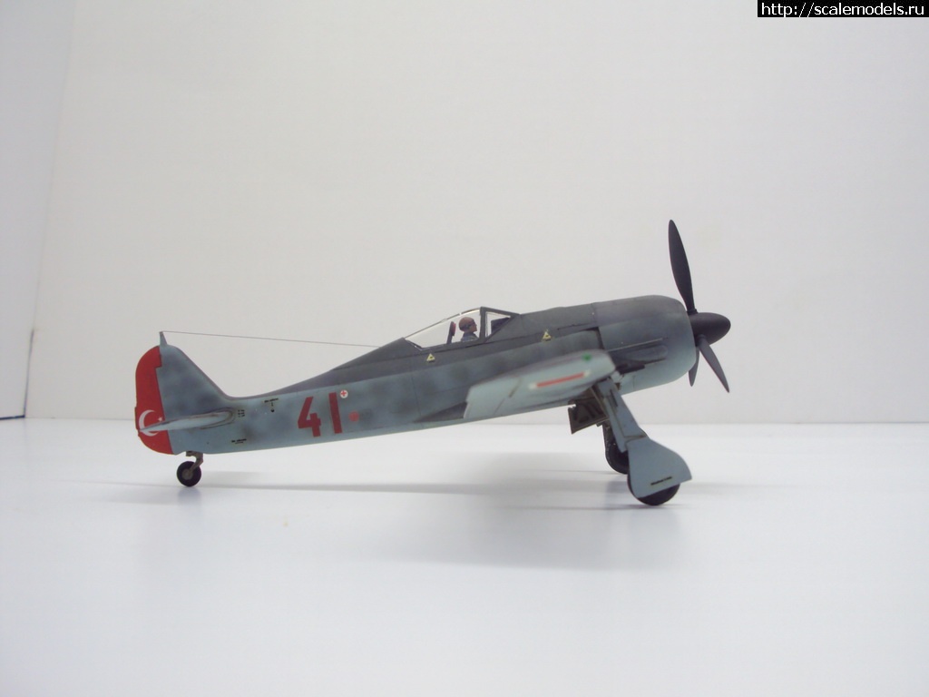 1455396460_DSC09362_rrrsr-srrrrs.jpg : #1226220/ FW-190 A-4 1:72  - !!!  