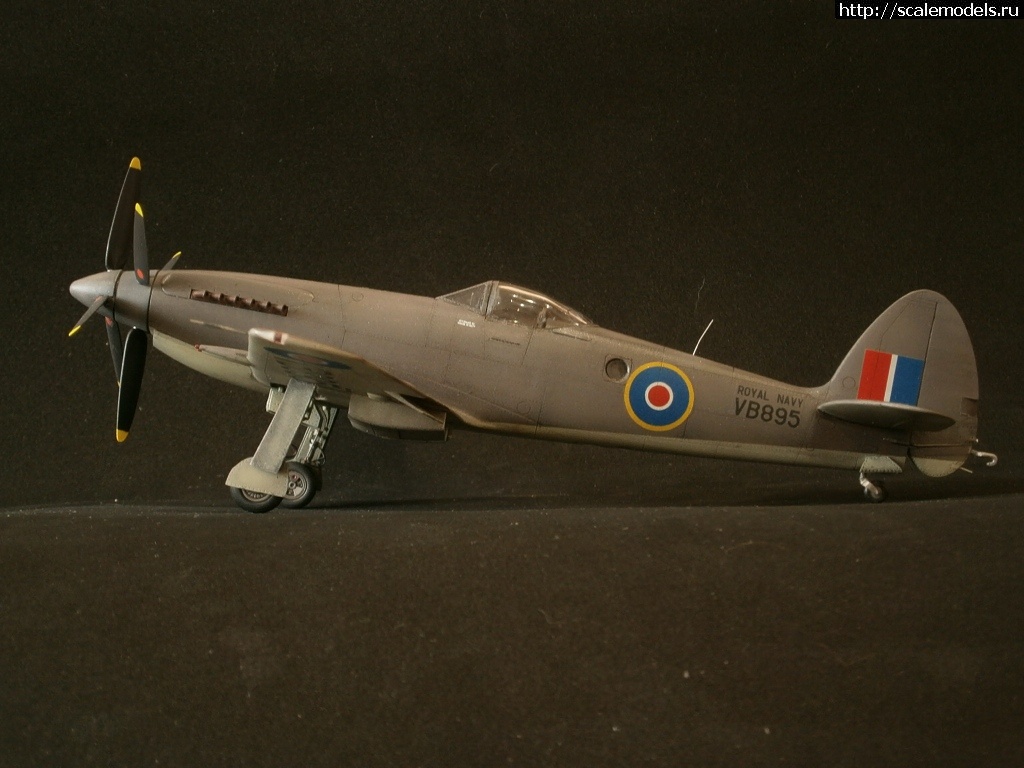 1456649015_5.jpg : #1231698/ 1/48 Trumpeter Supermarine Seafang F.MK.32 (  !)  