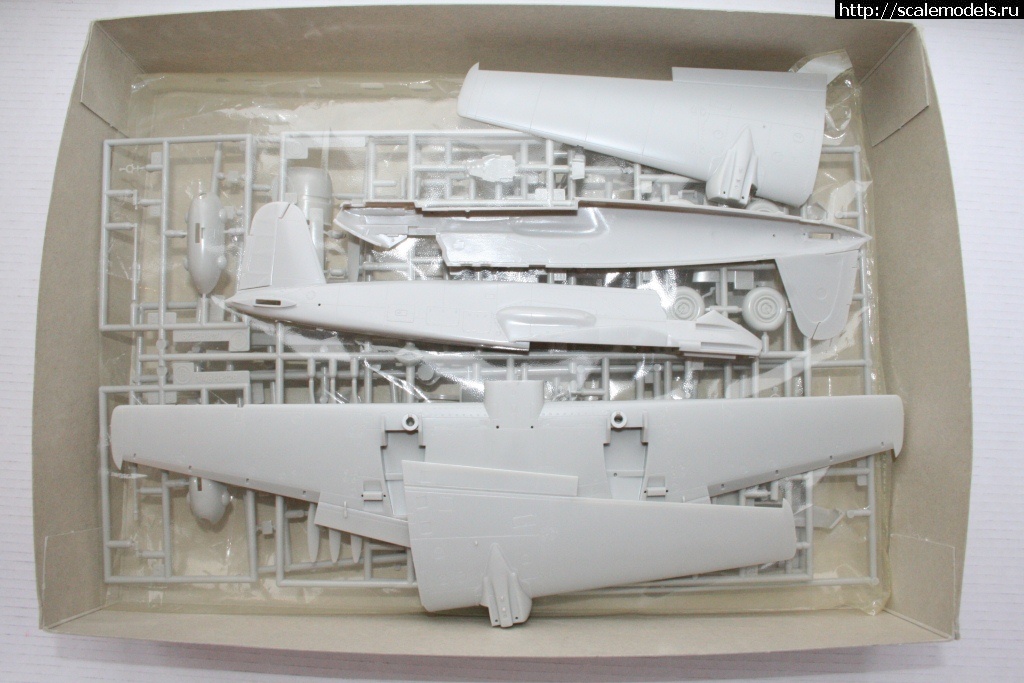 1459602825_IMG_0821.jpg : 1/48 Henschel Hs 129B-2   Revell  