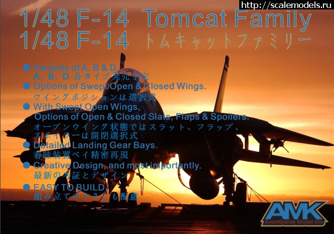 1463044463_1443208073.jpg : #1260272/ Tamiya 1/48 F-14A  