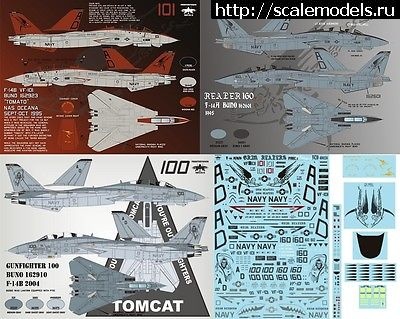 1473048560__1.jpg : F-14D HASEGAWA 1/48 / GRIM REAPERS AD160 - .  