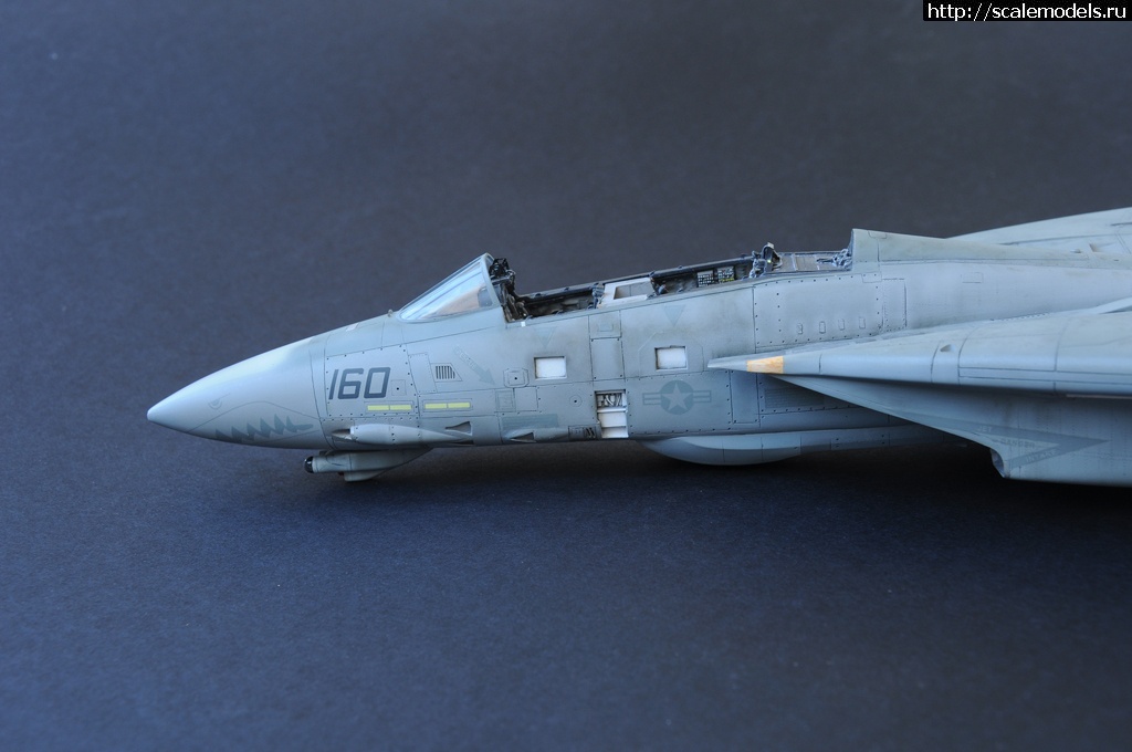 1473049179_DSC_2042.jpg : F-14D HASEGAWA 1/48 / GRIM REAPERS AD160 - .  
