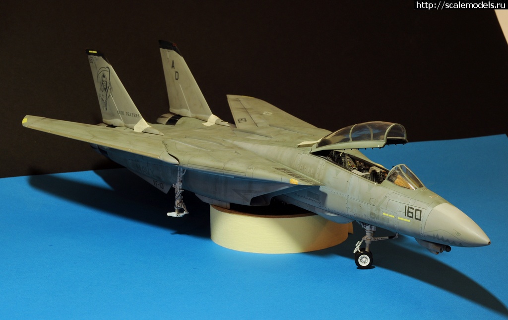 1473050078_DSC_2030.jpg : F-14D HASEGAWA 1/48 / GRIM REAPERS AD160 - .  