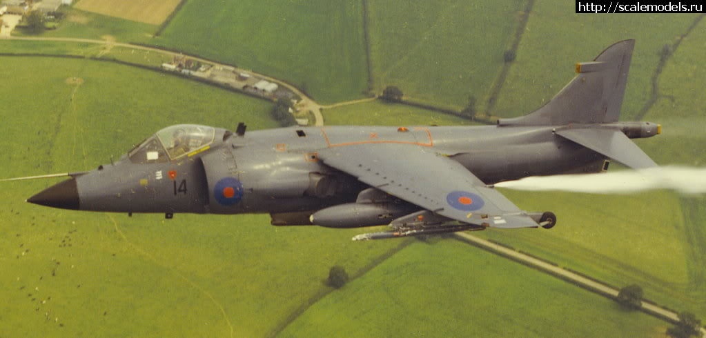 1476598324_58E.jpg : #1302082/  1/72 Harrier/SeaHarrier - Italeri, Hasegawa  