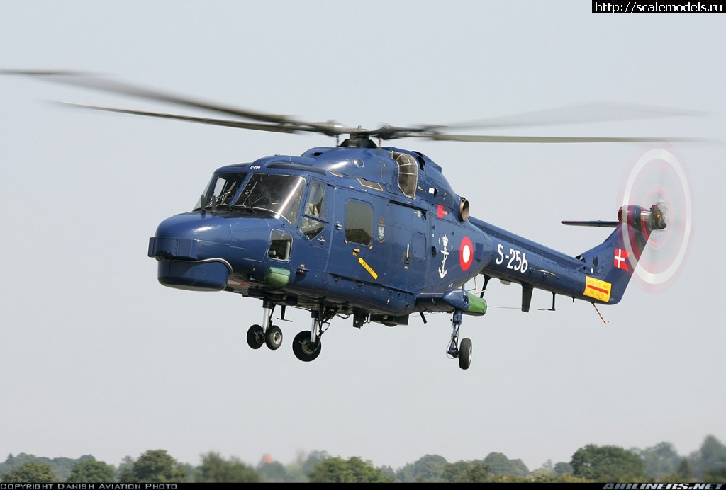 1476847342_0918613.jpg : Lynx   