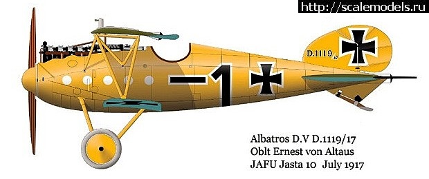 1477338010_7.jpg : Roden 1/72 Albatros D.V  