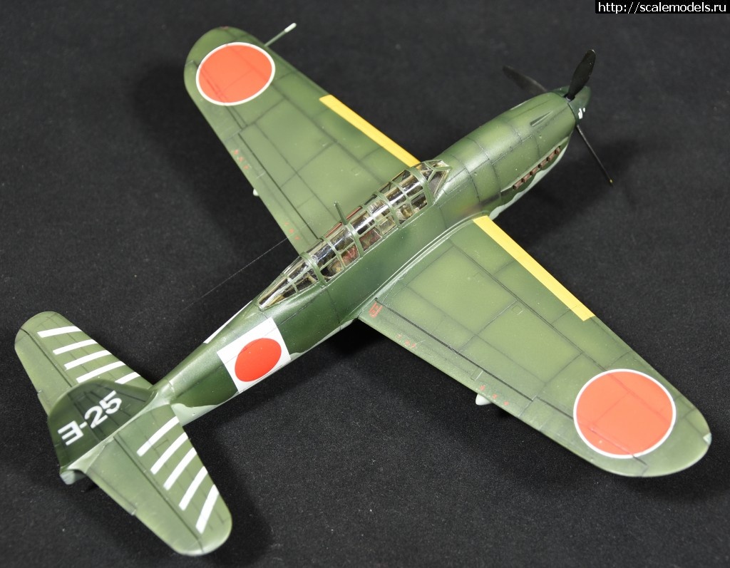 1484780099_DSC_0218.jpg : #1334915/ D4Y1 (Judy) 1:48  Fine Molds - !  