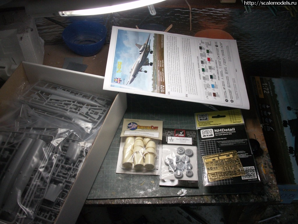 1487286433_PICT1082.JPG : 1/72 ModelSvit -22  