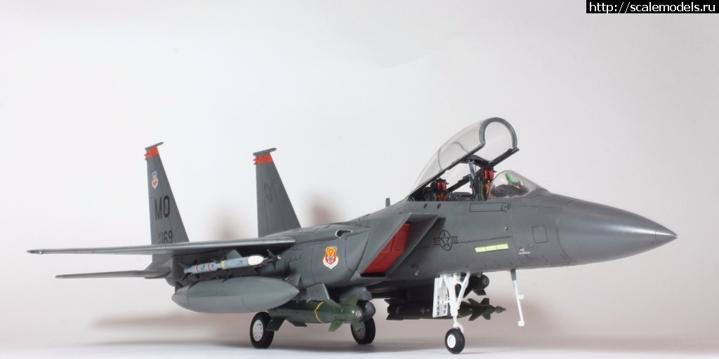 1487707235_IMG_8729.JPG : #1349405/ Revell 1/48 F-15E Strike Eagle(#10778) -   