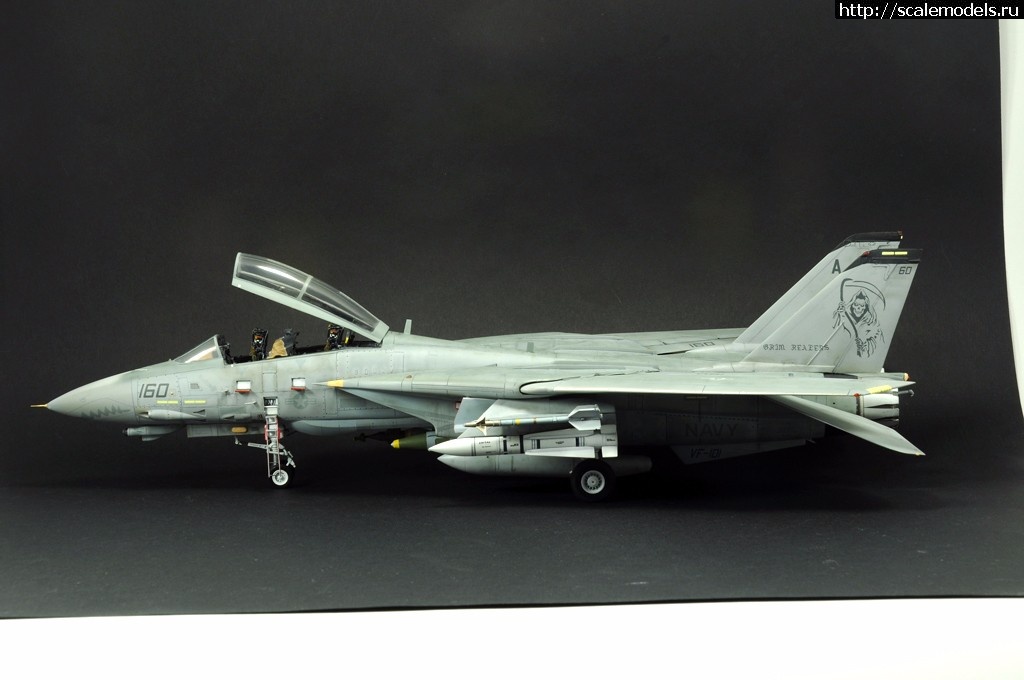 1488997157_11.jpg : #1354949/ F-14D HASEGAWA 1/48 / GRIM REAPERS AD160 - .  