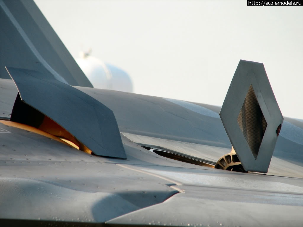 1489273028_99bcc6ed.jpg : #1376894/ F-22 Raptor -       