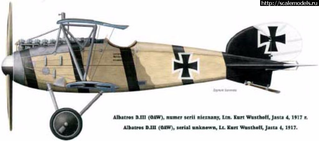 1491837050_9.jpg :   Albatros D III OAW  