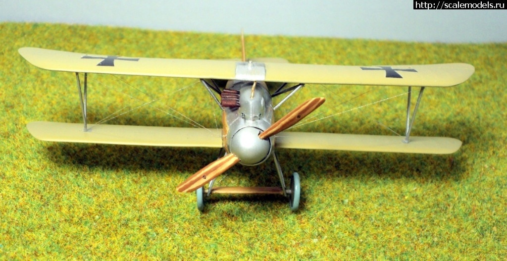 1492331366_1489946678_8.JPG :    Albatros!   1/72  
