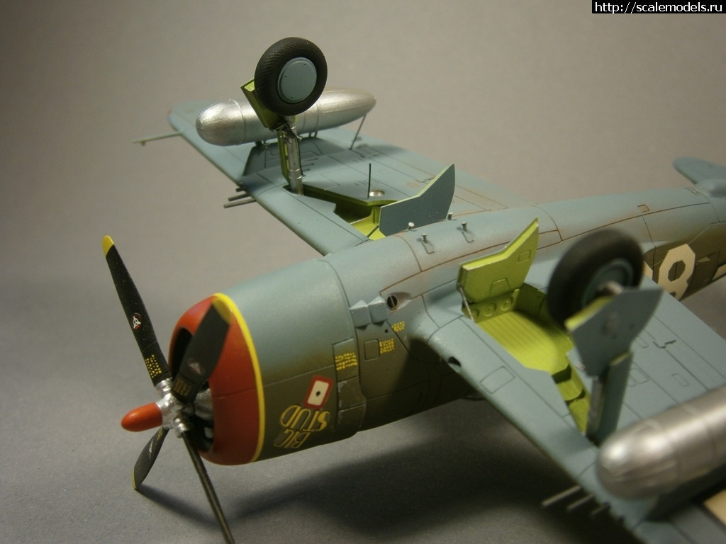 1495647813_21.JPG : #1382802/  P-47-   .  