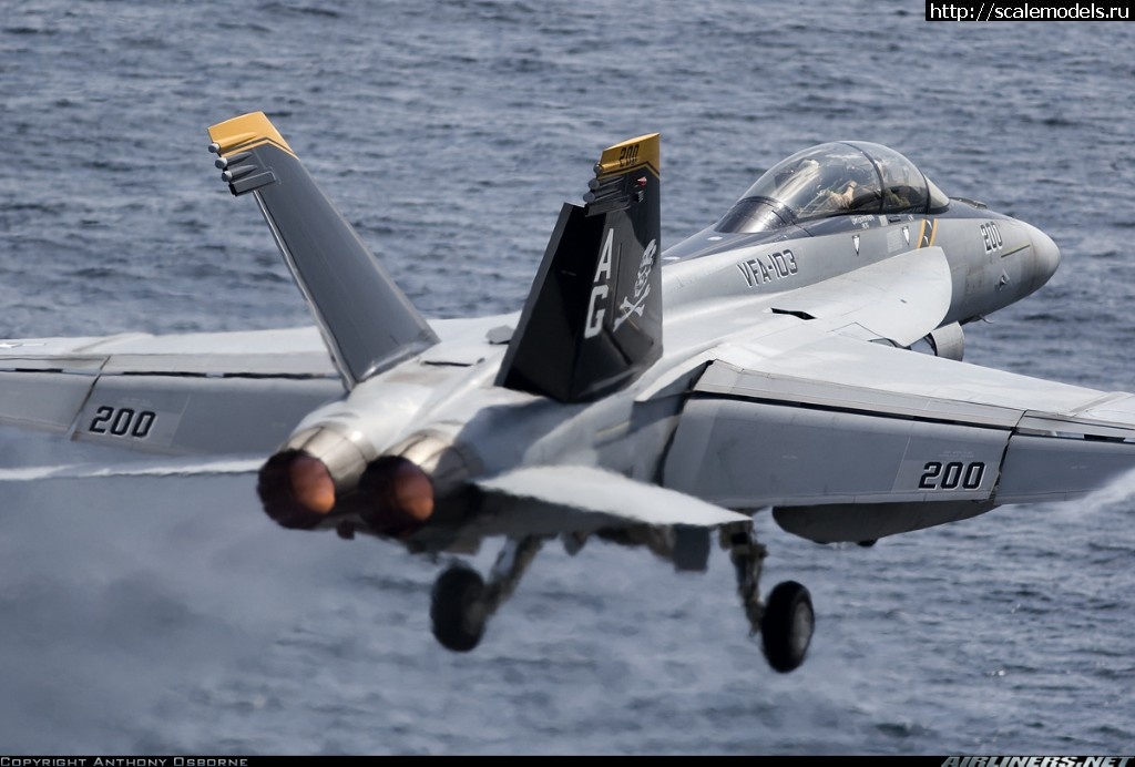1497453456_1337521.jpg : #1388379/ Hasegawa 1/48 F/A-18F Super Hornet V...(#11152) -   
