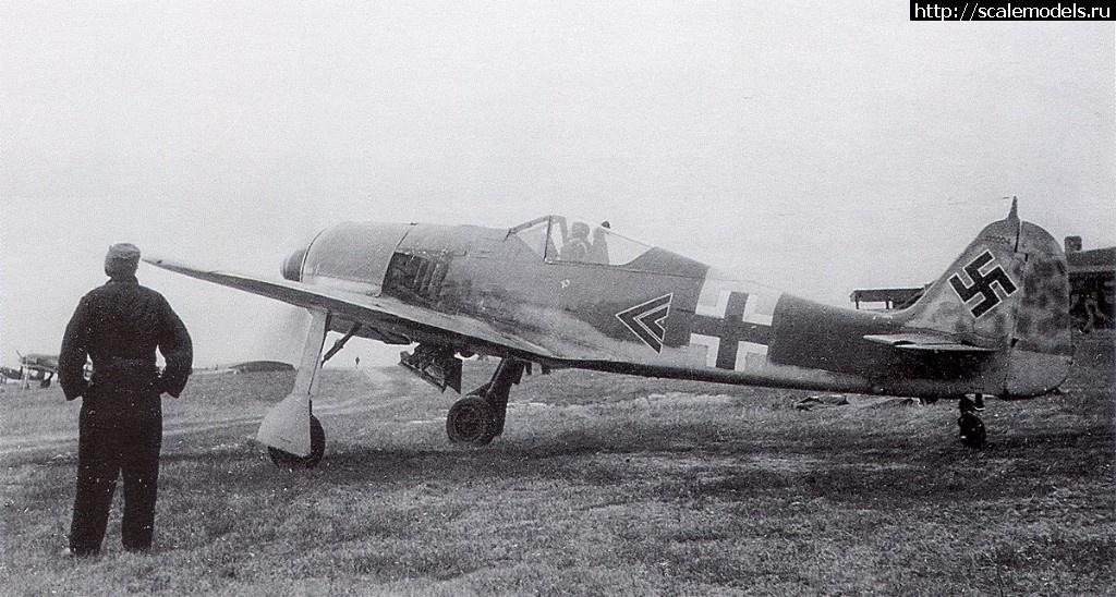 1509468834_Focke-Wulf-Fw-190A5-Stab-I-JG54-Walter-Nowotny-Orel-Russia-1943-01.jpg : #1427676/ Eduard 1/48 Fw-190A-5. .  