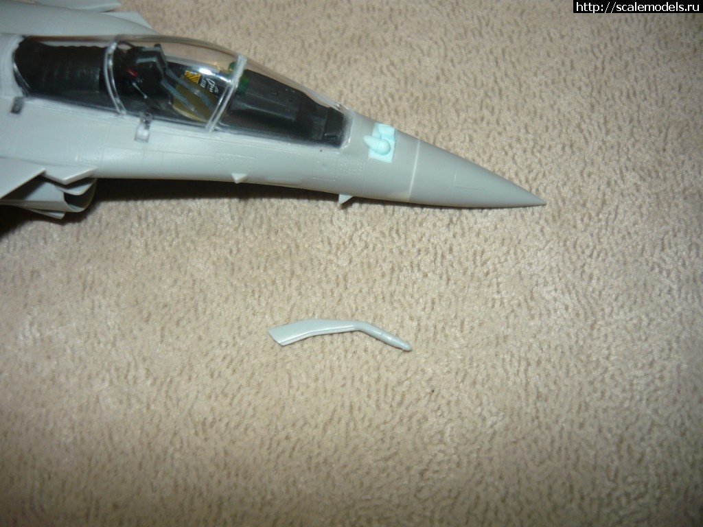 1520522470_P1050231.JPG : #1462293/ Rafale HobbyBoss 1/72   ?  