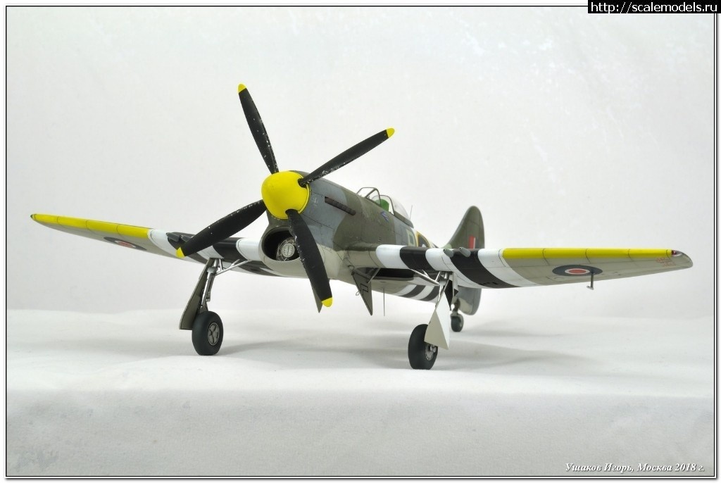 1521412324_1520778378_DSC_4256_00001.jpg :     -  WWII 1/48  