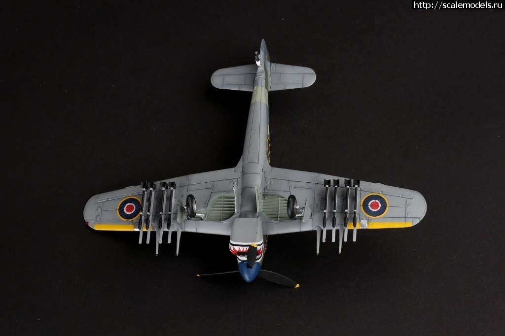 1521819820_1519847757_235B8368.JPG :     -  Hawker 1/72  