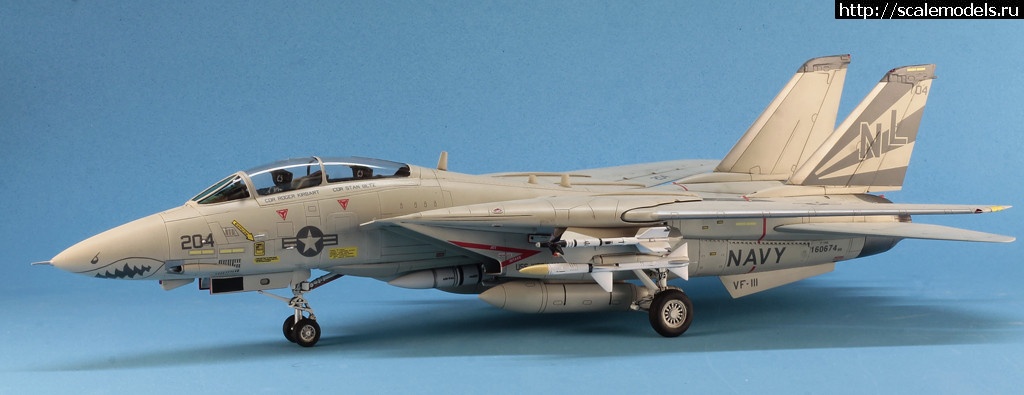 1530380719__MG_4609.JPG : #1490134/ Hobby Boss 1/72 F-14A Tomcat   