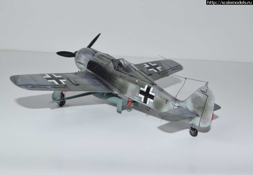 1534432103_1-DSC_0088.JPG : #1499205/ Fw-190A-8 w Bv.246 - 1/72 Revell  