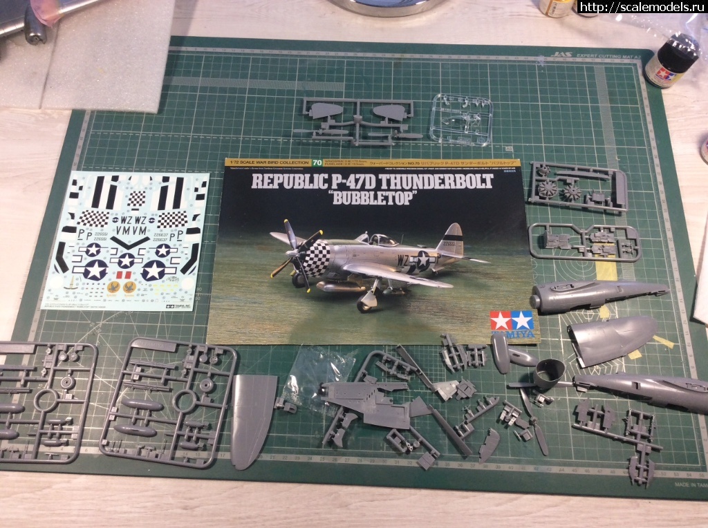 1535336185_IMG_6451.JPG : P-47D  Tamiya 1/72 -   