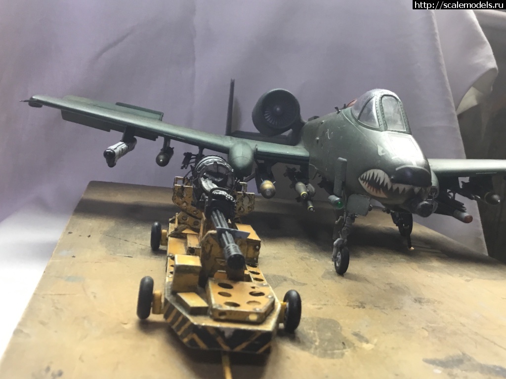 1546850654_06F64252-914D-4E58-8AC4-AAE6835B66A6.jpeg : Re: HobbyBoss 1/48 Fairchild Republik A-10 Thunderbolt II Wa/ HobbyBoss 1/48 Fairchild Republik A-...(#12727) -   