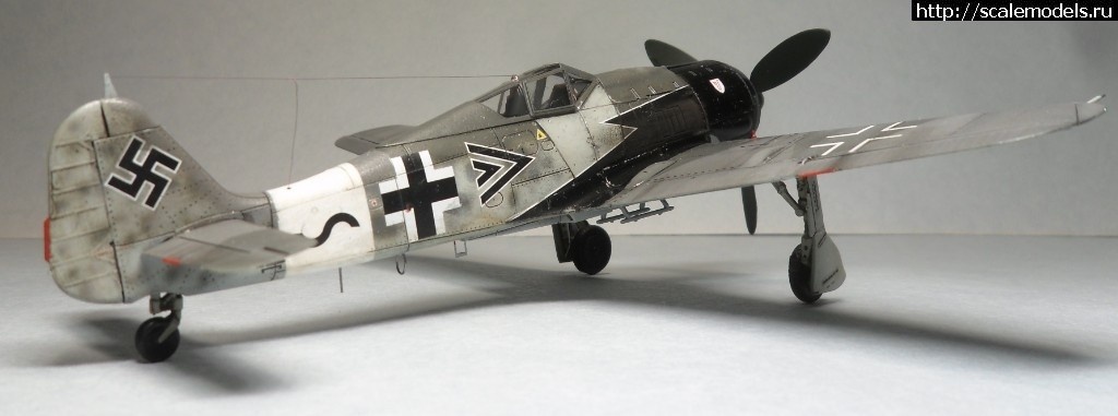 1550359793_1550176398_SAM_6461.JPG :      - 1/72 Fw 190  