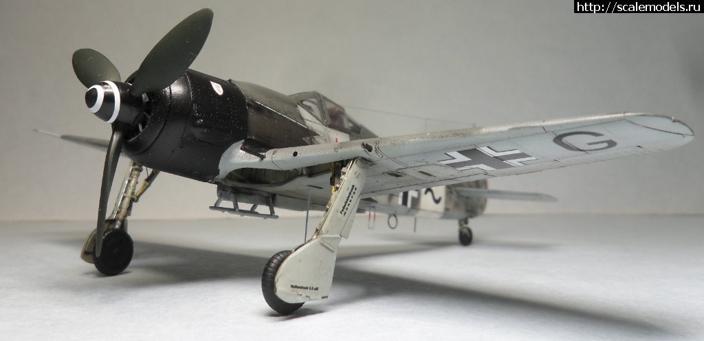 1550359795_1550176400_SAM_6465.JPG :      - 1/72 Fw 190  