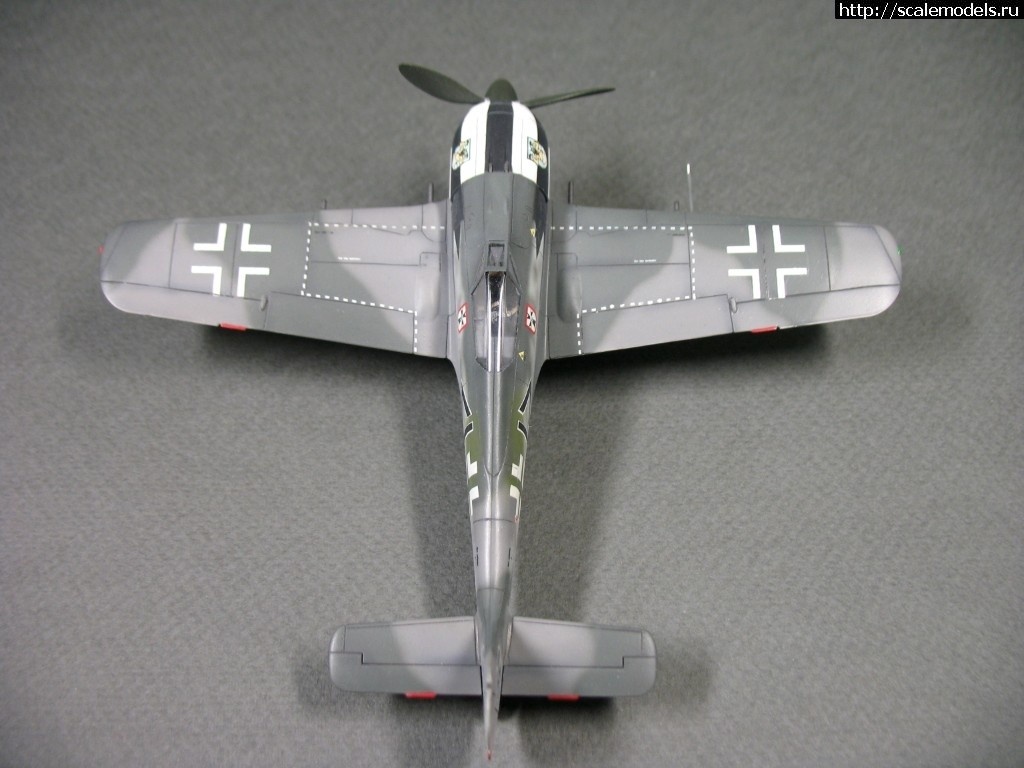 1550359908_1538848969_IMG_0732.JPG :      - 1/72 Fw 190  