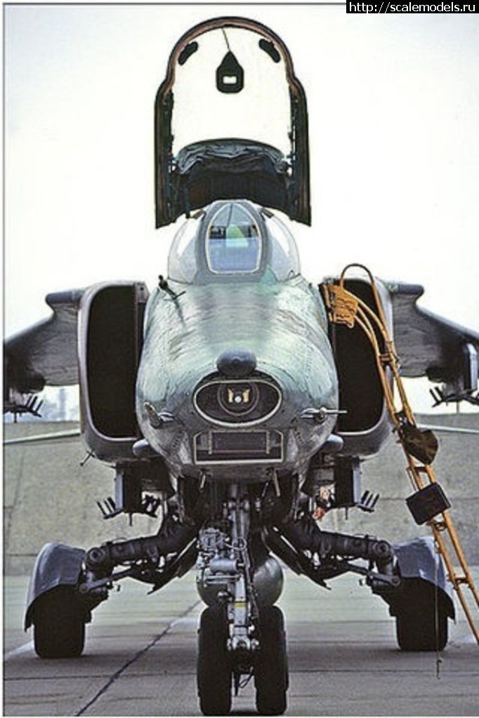 1554897401_x_9474802d.jpg : #1548095/ Kitty Hawk 1/48 -173(#13037) -   