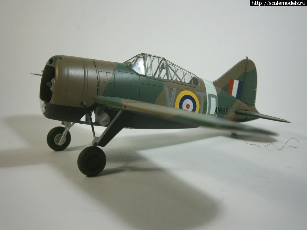 1570304229_50.JPG : #1576729/ Brewster-Buffalo F2A-2 1/72 Airfix *!*  