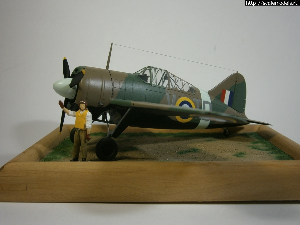 1571079395_4.JPG : #1578768/ Brewster-Buffalo F2A-2 1/72 Airfix *!*  