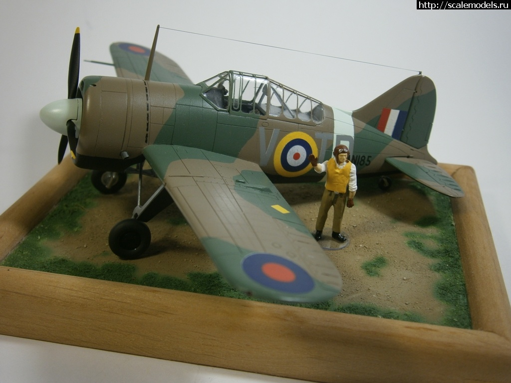 1571079404_5.JPG : #1578768/ Brewster-Buffalo F2A-2 1/72 Airfix *!*  