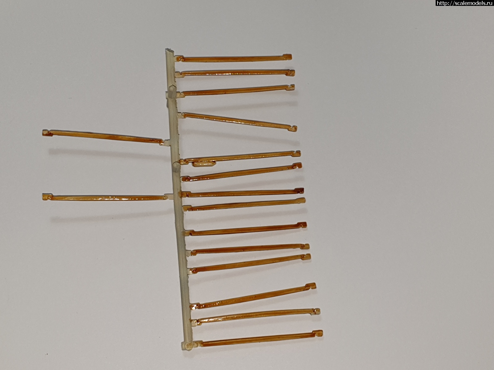 1576313934_20191212_070738.jpg : #1589433/ Wright Flyer Revell 1/39   
