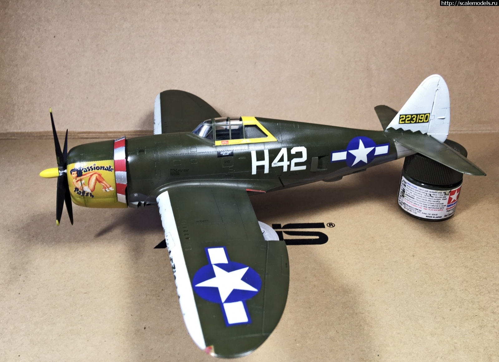 1579455163_IMG_4234.jpg : #1596235/ Tamiya 1/48 P-47,D-16. Thunderbolt.    .  