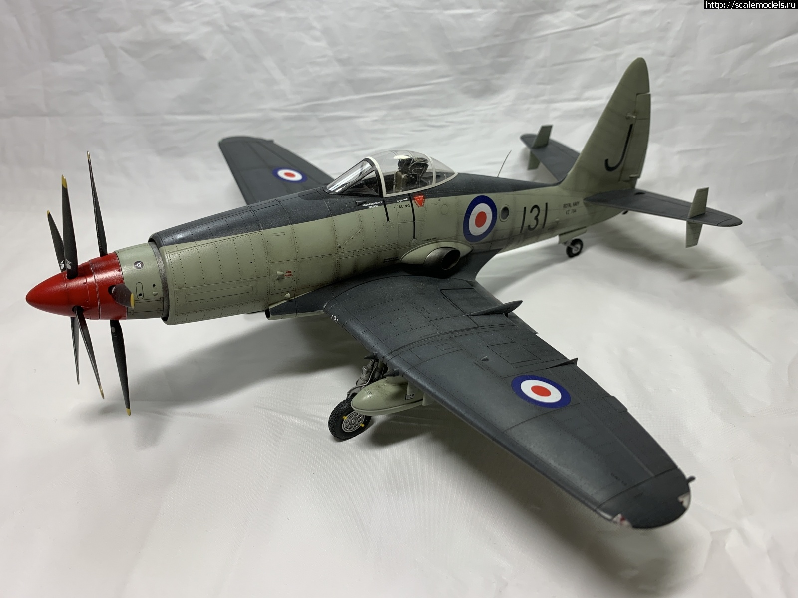 1581539628_2020-02-12-23-11-44.JPG : #1601351/ Trumpeter Westland Wyvern S.4 Early 1/48  