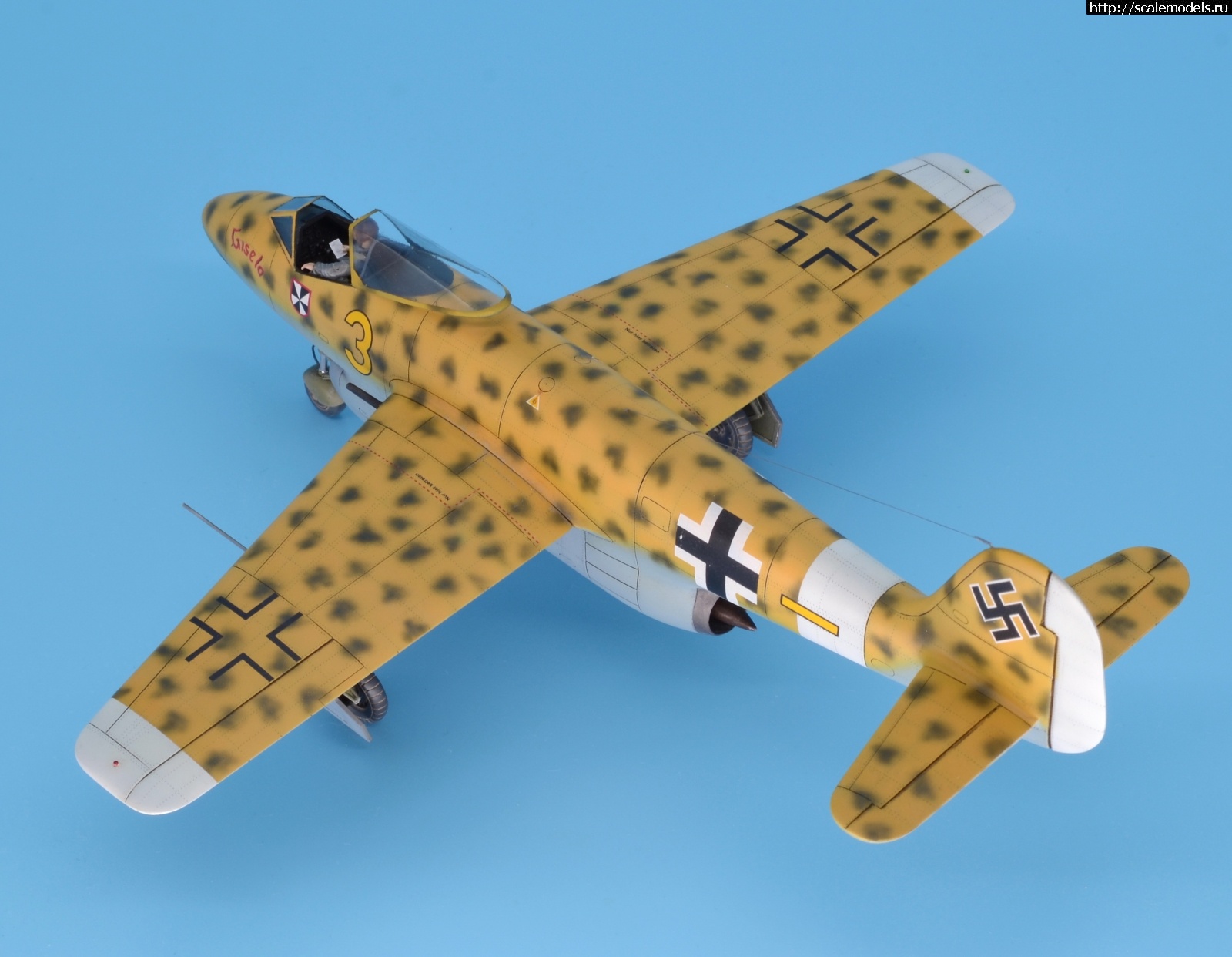 1596038280_19.JPG : #1633990/ Focke Wulf Fw P.II 1/48 Planet Models. .  