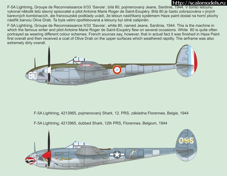 1602858683_4399-F-5A-camo_result-1.jpg : #1646737/   Tamiya - 1/48 P-38 Lightning  