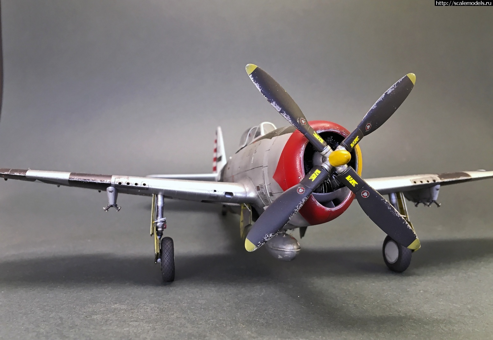 1605804608_IMG_5539.JPG : #1652351/ Tamiya 1/48 P-47D.Thunderbolt.   . 2.  