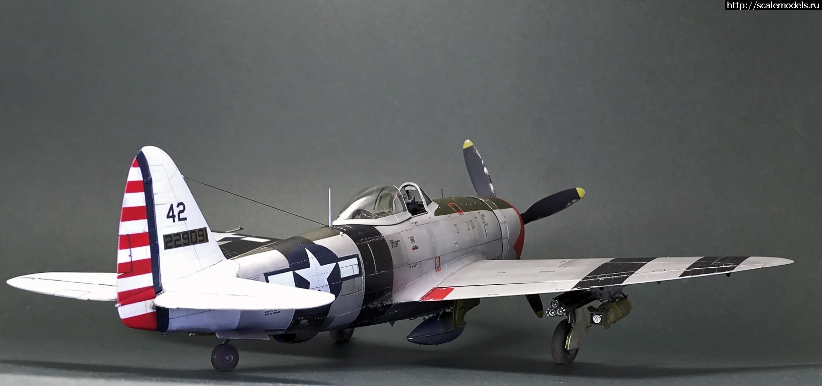 1605980902_IMG_5573.JPG : #1652704/ Tamiya 1/48 P-47D.Thunderbolt.   . 2.  