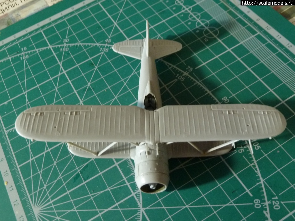 1606143512_P1090710.JPG : #1653117/ FIAT CR.42 Falco 1/72 "Italeri"  