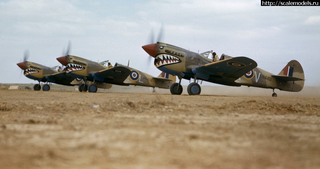 1608923741_3500-1.jpg : #1659764/     1-48 - 48-053 Curtiss P-40    