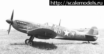 1614689513_74669E88-7671-49E7-AD55-428A0D162B2F.jpeg : #1672913/ Eduard 1/48 Spitfire Mk.IX(#14844) -   