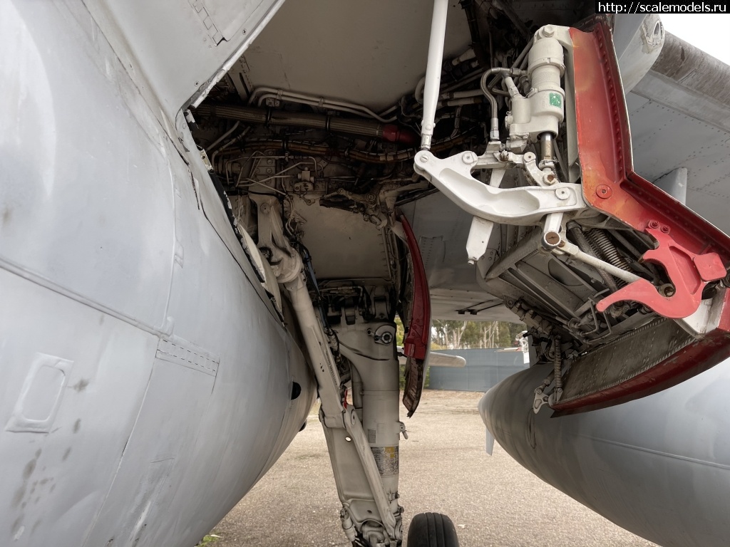 1615500947_7CFC65A8-6AAE-41E7-A3A3-098526EC72C4.jpeg :  Grumman EA-6B Prowler  