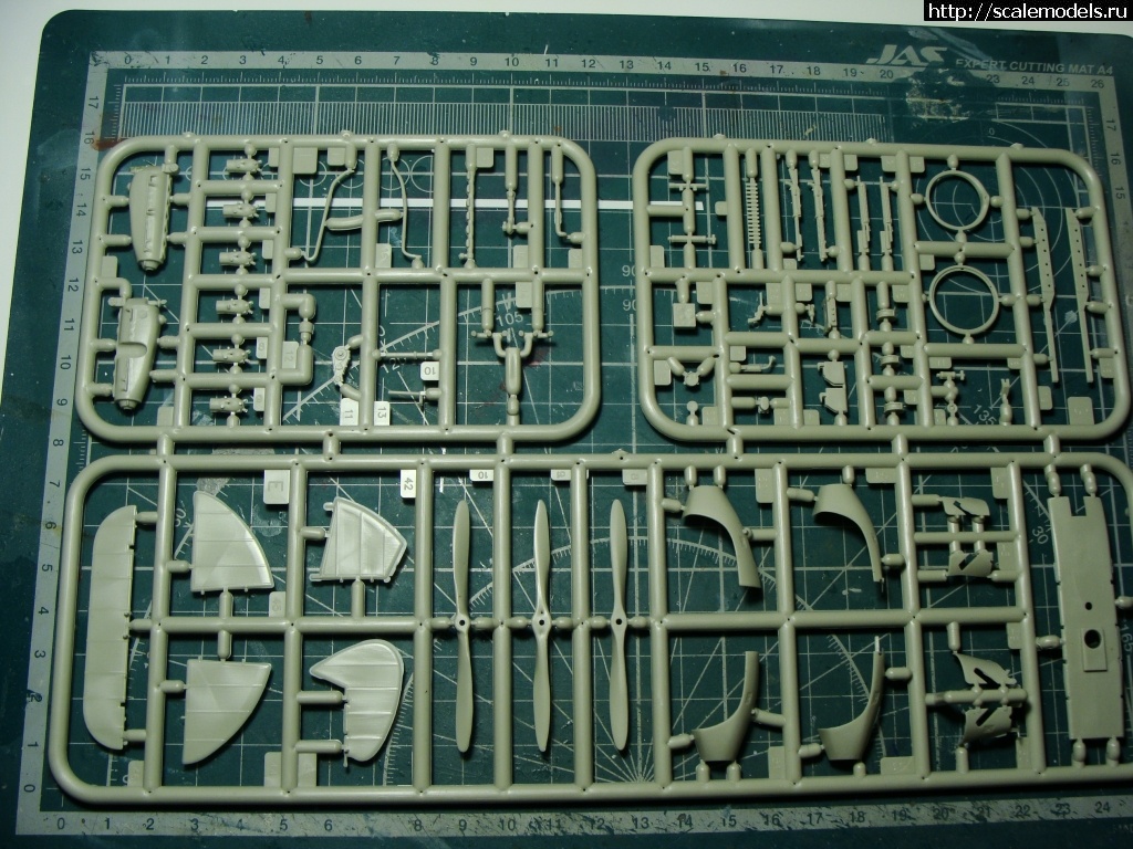 1616266044_DSC04881.JPG : Halberstadt CL.II 1/48 Mirage  