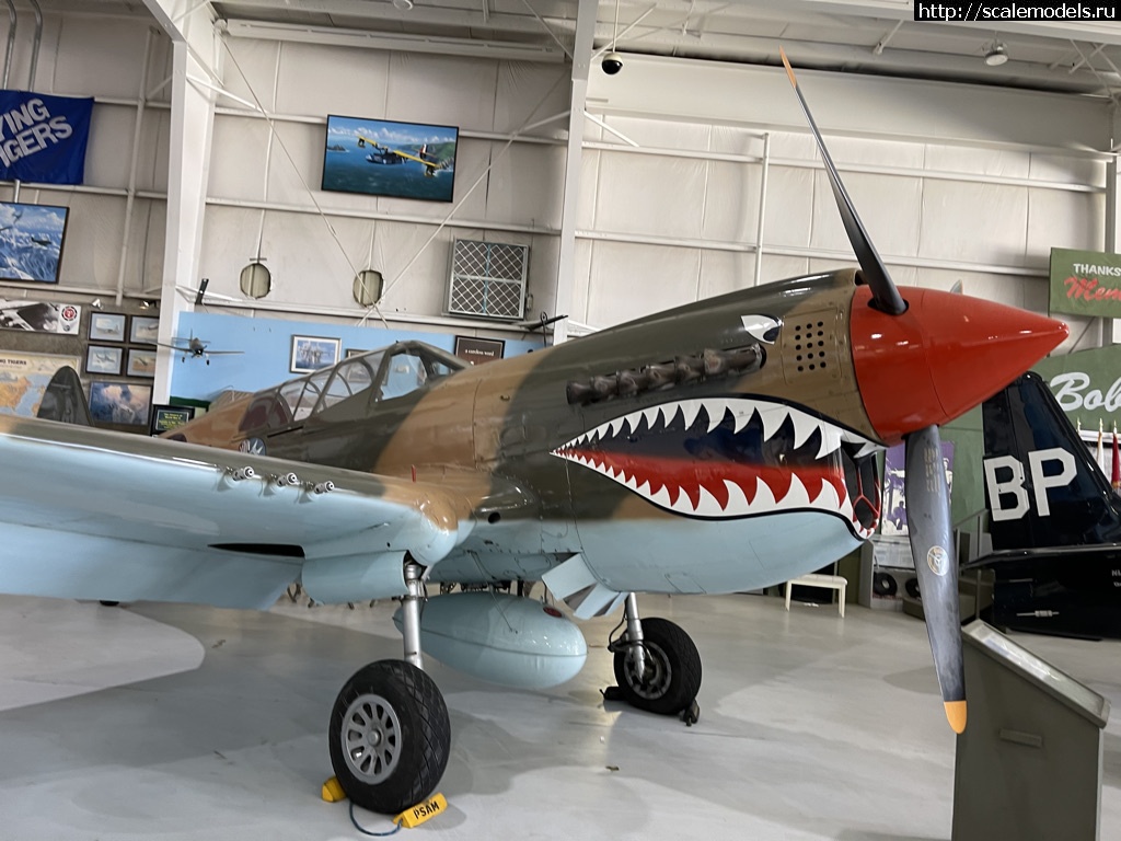 1618901513_97265FAF-84D1-4908-A7C6-E930AEEBB686_1_105_c.jpeg : Walk around P-40 Warhawk  