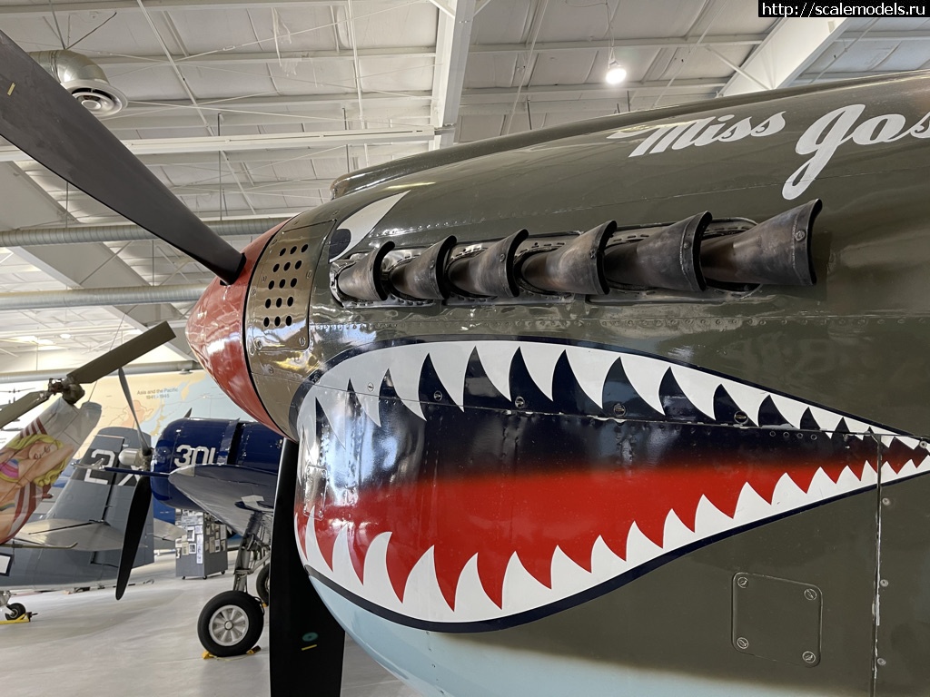 1618901520_796007B9-2B7E-4113-9AF8-2BE88B65D59F_1_105_c.jpeg : Walk around P-40 Warhawk  