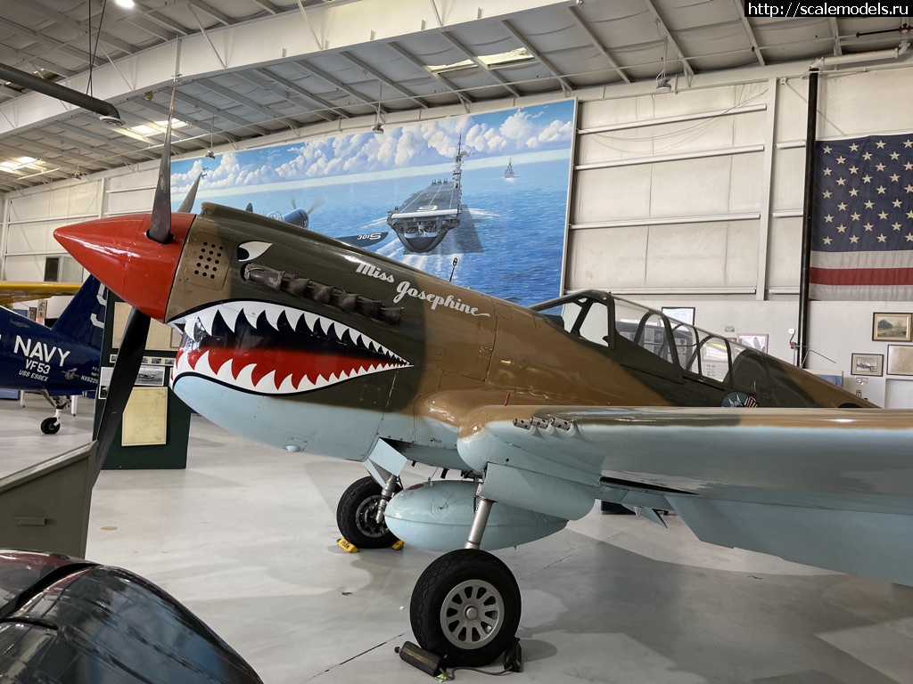 1618901526_006C3053-F4CD-43B8-8EE7-CCE5D6B91B01_1_105_c.jpeg : Walk around P-40 Warhawk  