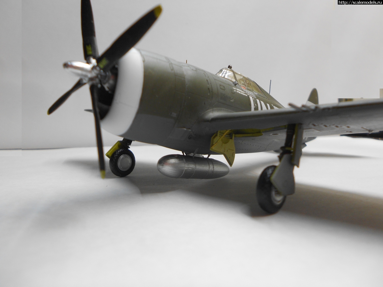 1618944471_DSCN0279.JPG : #1681884/ P-47D Razorback Tamiya 1/72    